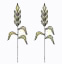 arable