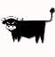 beef/suckler cows
