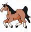 horses