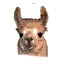 llamas