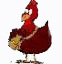poultry